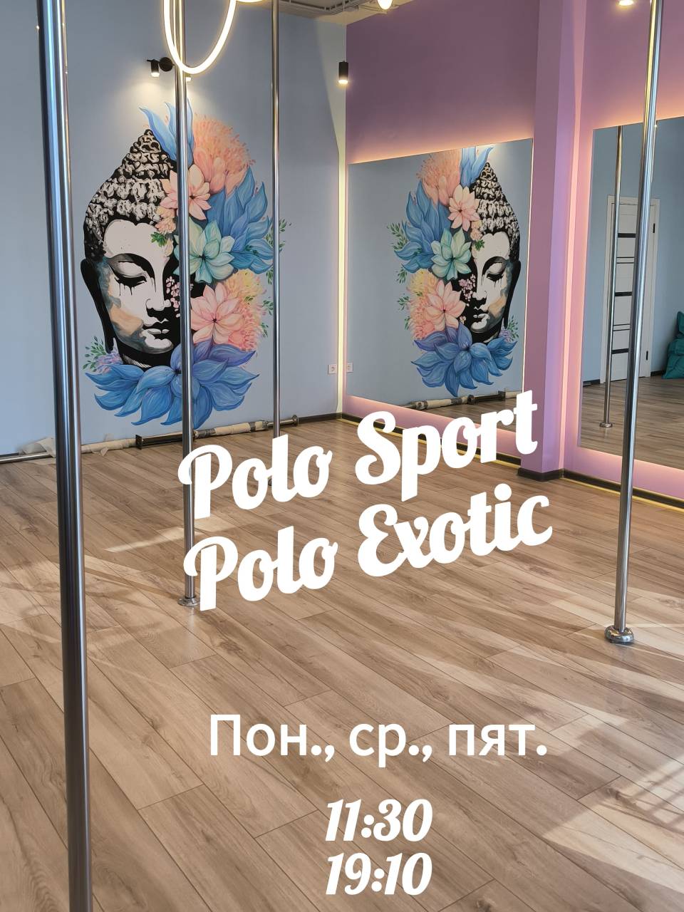 Polo Sport